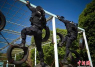 米乐m6app-新疆飞虎队重夺榜首，击败对手取胜的简单介绍