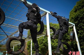 米乐m6app-新疆飞虎队重夺榜首，击败对手取胜的简单介绍